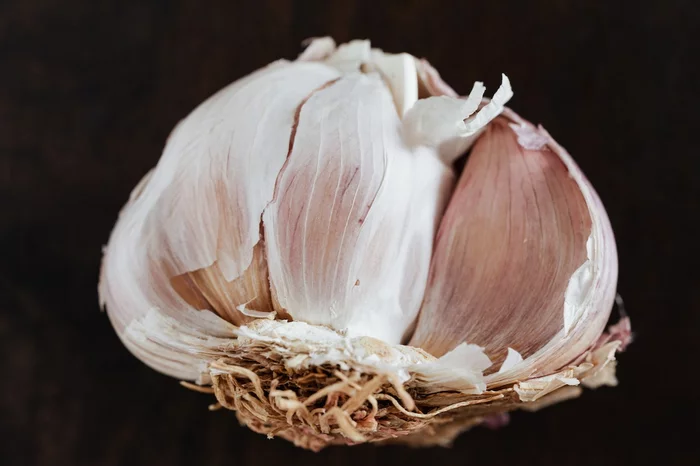 Is it true that garlic protects against colds and flu? - My, Health, The medicine, Disease, Flu, ARVI, Cold, Nutrition, Organism, Garlic, Facts, Проверка, Informative, Interesting, Research, Person, Scientists, Longpost