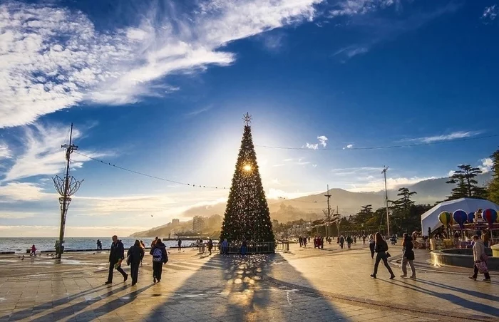 Sunny Yalta, December 12, 2022 - The photo, beauty, Russia, Yalta, Crimea, Sea, Christmas tree, The mountains, Sky, Town