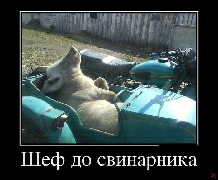 ����� TolyaBespredel � ������ Bonusl � "�� ��� ����� ����� ������, ���� �� ���� ������� ���������"�