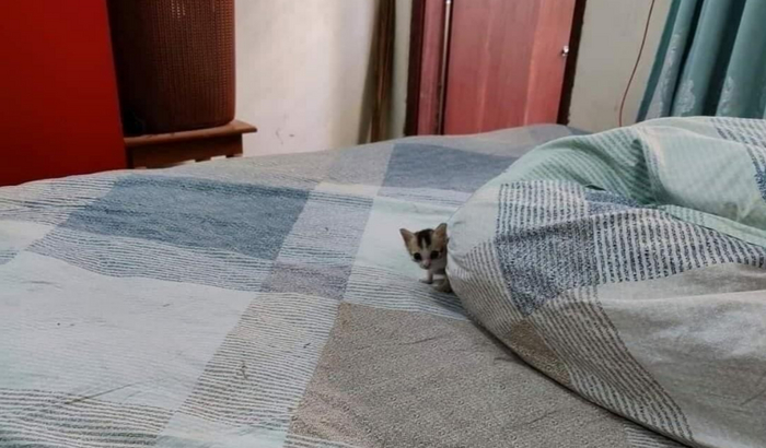 &quot;&quot;  