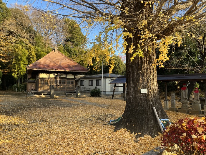 ������, 10 �������