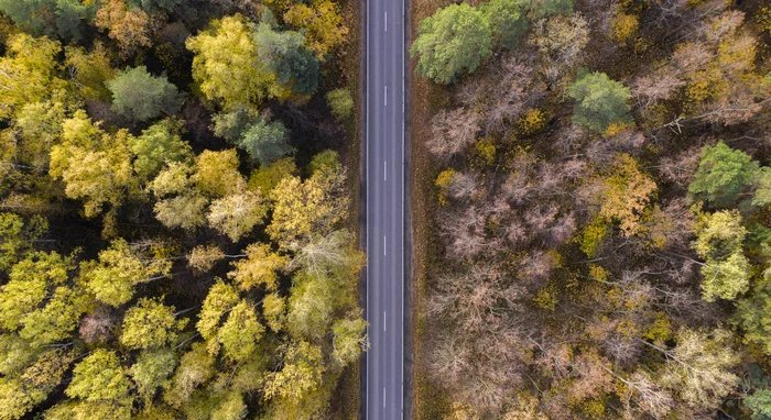 shortest distance - My, Aerial photography, Road, Quadcopter, The photo, Drone, River, Video, Longpost