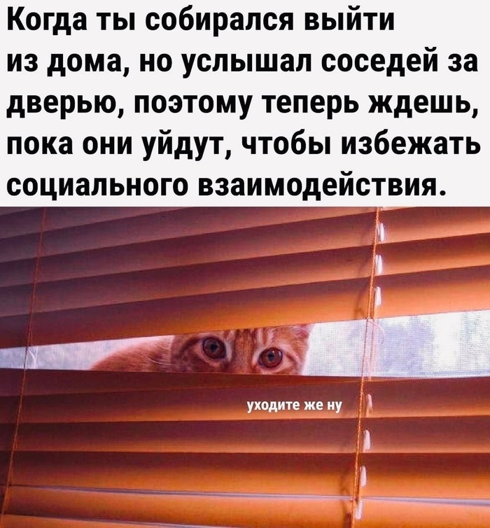 ������ ���