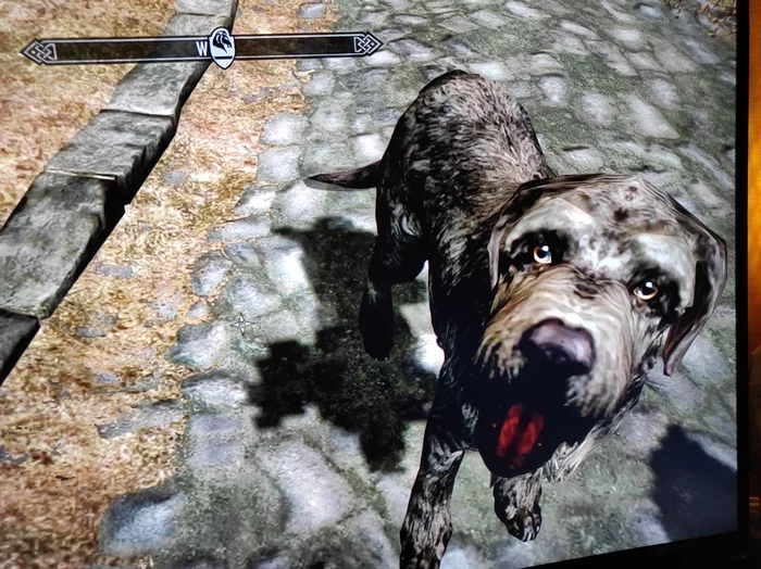 Miiko - My, The Elder Scrolls V: Skyrim, Dog, Playstation 3