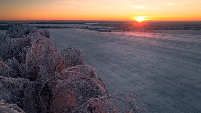 At sunset on a frosty day - My, The photo, Sunset, Forest, Field, Winter, freezing, Frost