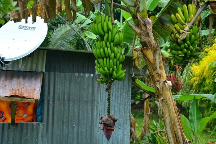 Welkam long Vanuatu Вануату, Океания, Путешествия, Фотография, Длиннопост Welkam long Vanuatu Вануату, Океания, Путешествия, Фотография, Длиннопост