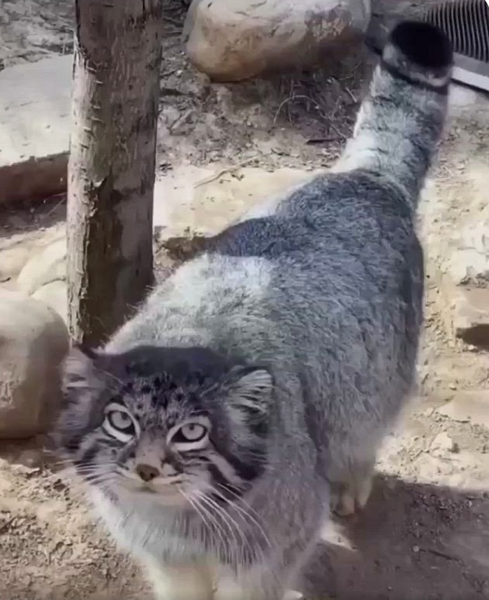 ,  ? ,  ,  ,  ,  , 