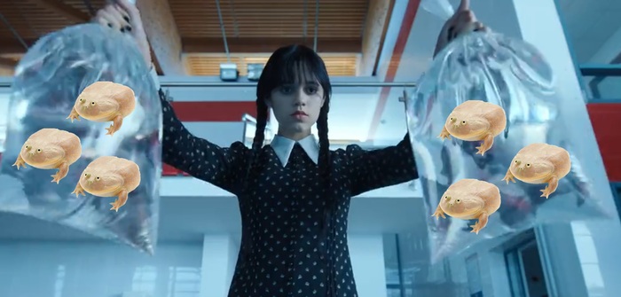 ����� �����, �������