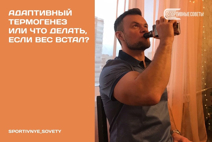 Адаптивный термогенез Или что делать, если вес встал?