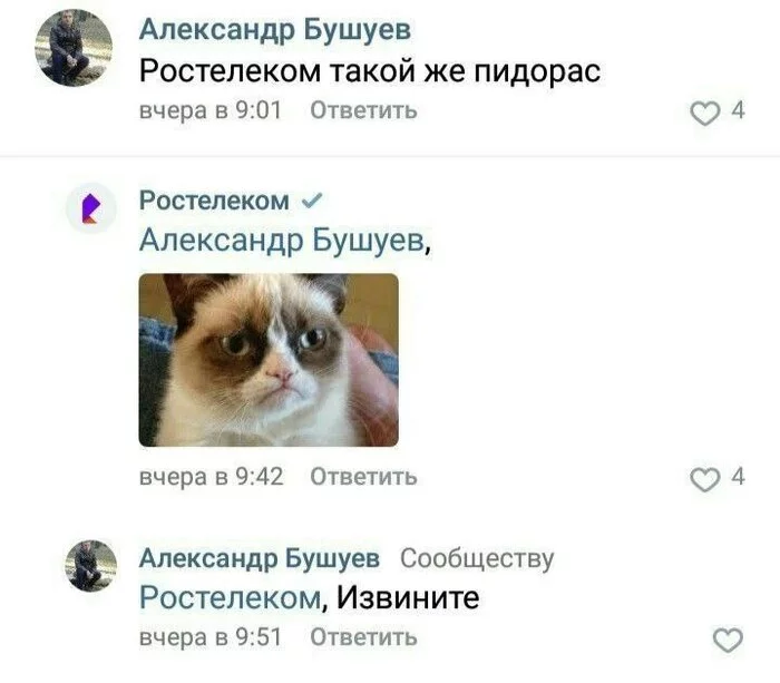 Sorry - Humor, Memes, Picture with text, Screenshot, Mat, Rostelecom, Grumpy cat, Correspondence