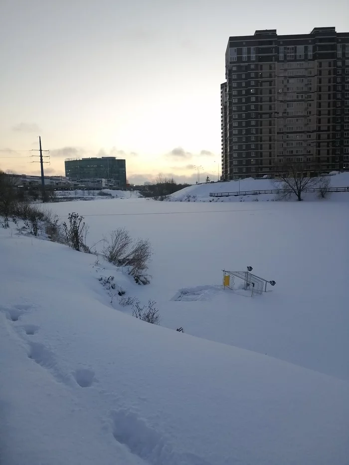 Тележка в диких условиях - Моё, Тележка, Москва, Зима