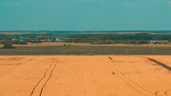 Summer in the countryside - My, The photo, Landscape, Village, Summer, Field, Longpost