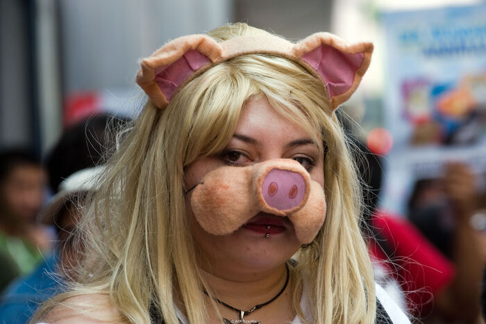 ����� �� ���� �� ���� ������� ���������