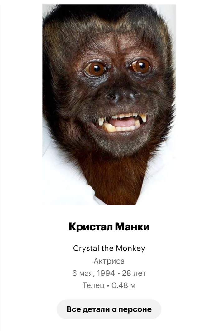 It is interesting... - Monkey, Actors and actresses, Hangover, Interesting