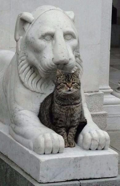 Protection of historical monuments - Sculpture, Monument, a lion, cat, Livadia Palace, Crimea, Russia, Longpost