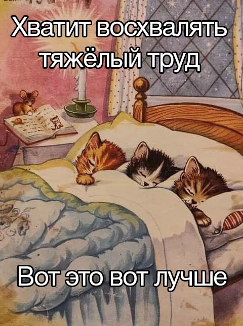 Statement - Humor, Picture with text, Relaxation, Work, cat