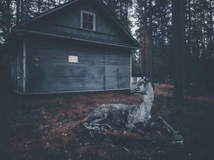 When childhood is over - My, the USSR, Childhood, Travels, Tourism, Pioneers, 90th, Abandoned, Beautiful, House, Sculpture