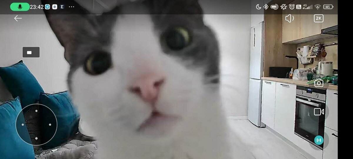 Catswill. Джонни Кэтсвилл и гололед.
