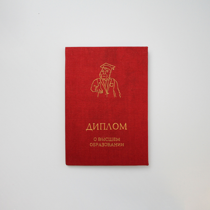 Диплом мемолога | Пикабу