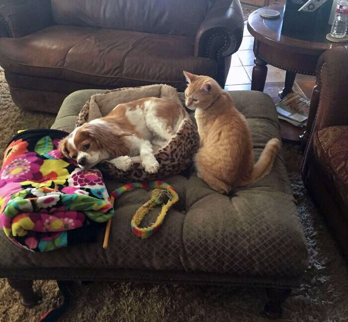 Доброе утро!