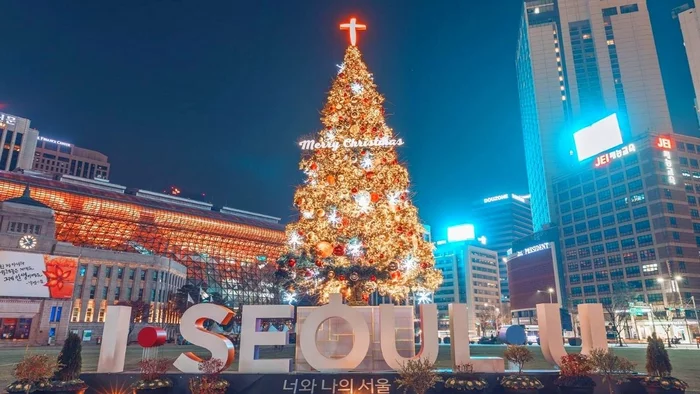 New Year tree in Korea - Asia, beauty, New Year, Christmas trees, Корея, South Korea