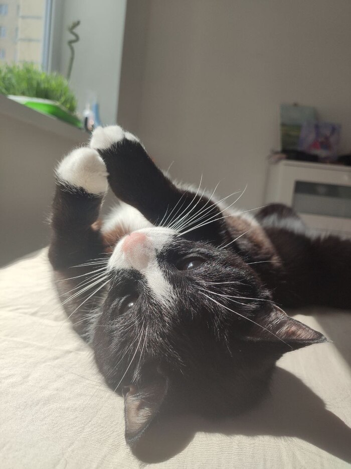 ����������