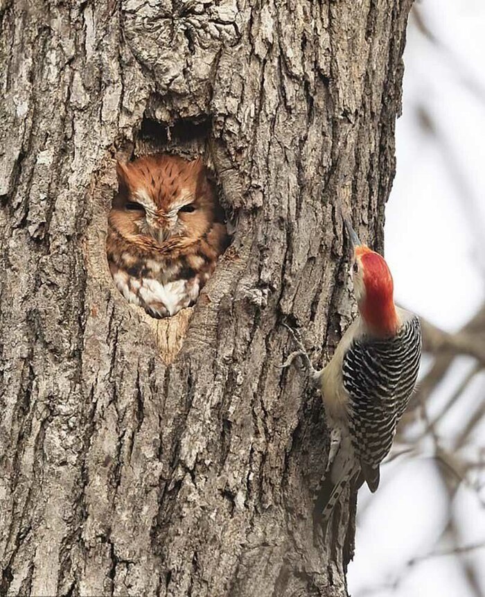             ,  ,   , , 