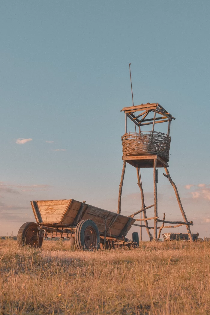 Continuation of the post Summer in the village - My, The photo, Landscape, Village, Summer, Field, Airplane, Reply to post