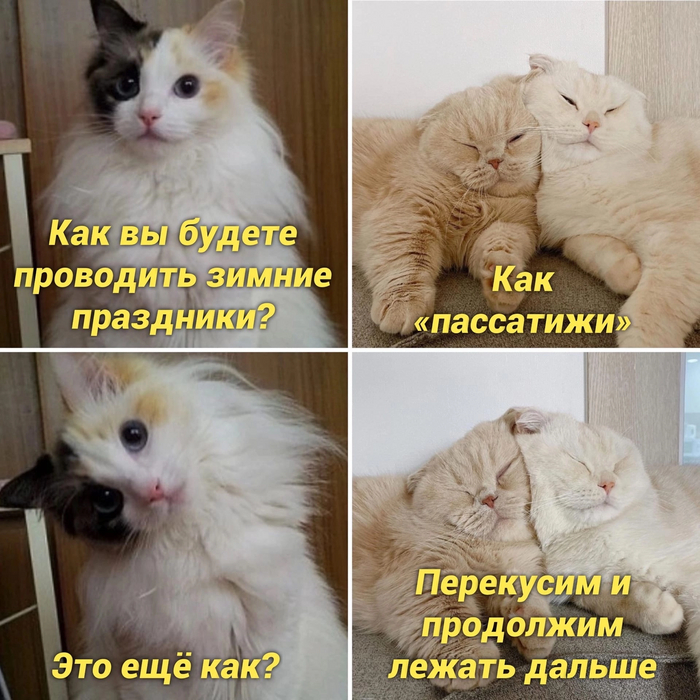 Планы на праздники