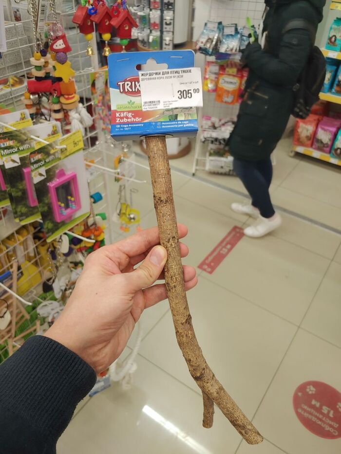 ����� �� ������