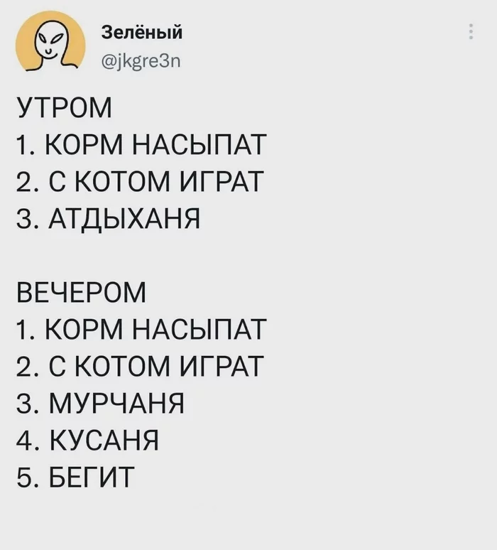 Расписание с котом - Мемы, Скриншот, Юмор