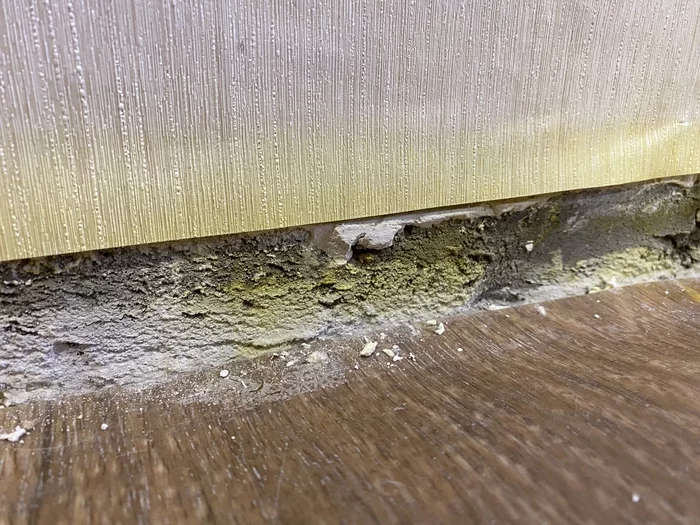 Help me please! - My, Repair, Fungus, Mold, Wallpaper, Longpost