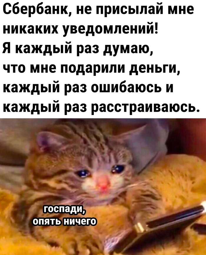 � �������� ������� "������� ������������ ����������� ������"