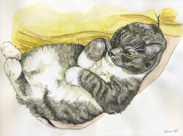 Puffy cat grandpa - My, cat, Drawing, Creation, Watercolor, Painting