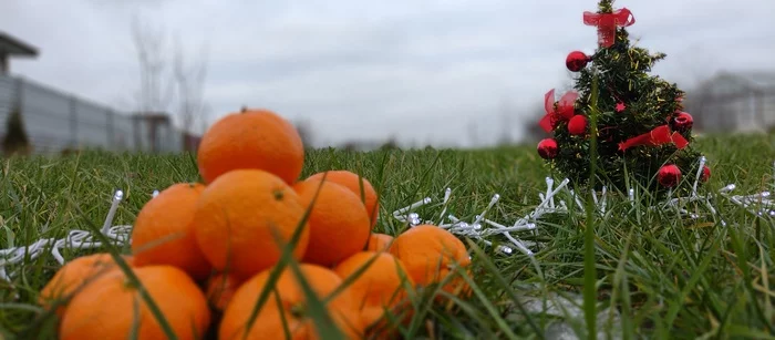 Tangerines Abkhazian - My, Food, Food Review, Tangerines, Abkhazia, New Year