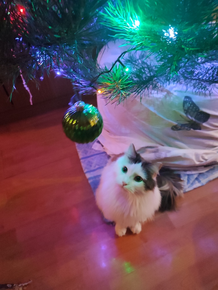 ������ �����