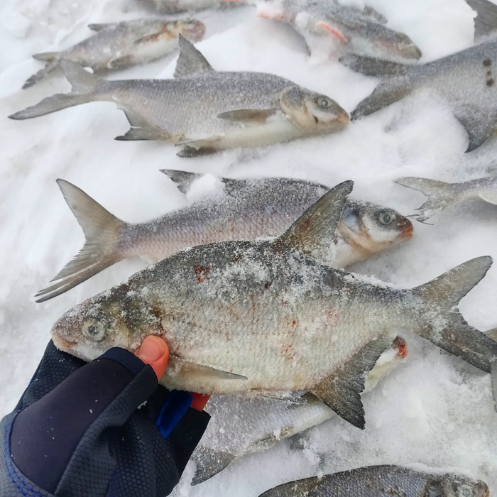Зимняя рыбалка на Вилейском водохранилище в снежную бурю Зимняя рыбалка, Рыбалка, Донная ловля, Видео, YouTube, Длиннопост