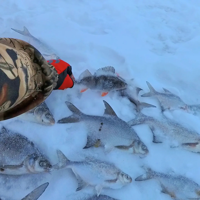 Зимняя рыбалка на Вилейском водохранилище в снежную бурю Зимняя рыбалка, Рыбалка, Донная ловля, Видео, YouTube, Длиннопост