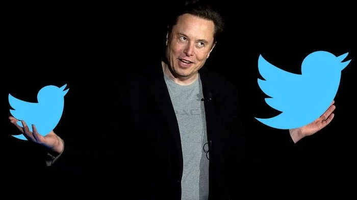 Musk invited to the European Parliament to give clarification on Twitter policy - Politics, news, Elon Musk, European Parliament, Twitter