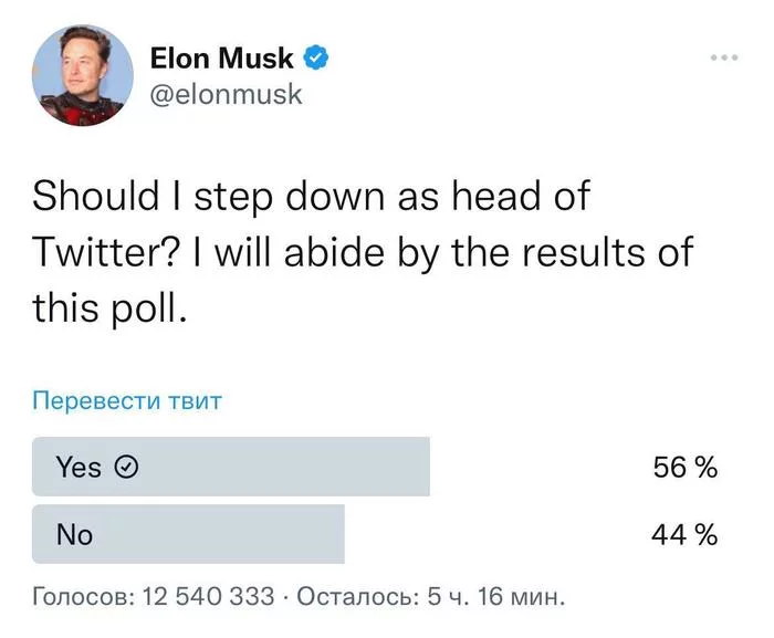 Илон Маск запустил голосование - Илон Маск, Голосование, Twitter, Аанг, Вот это поворот, Длиннопост, Раскадровка, Картинка с текстом, Повтор