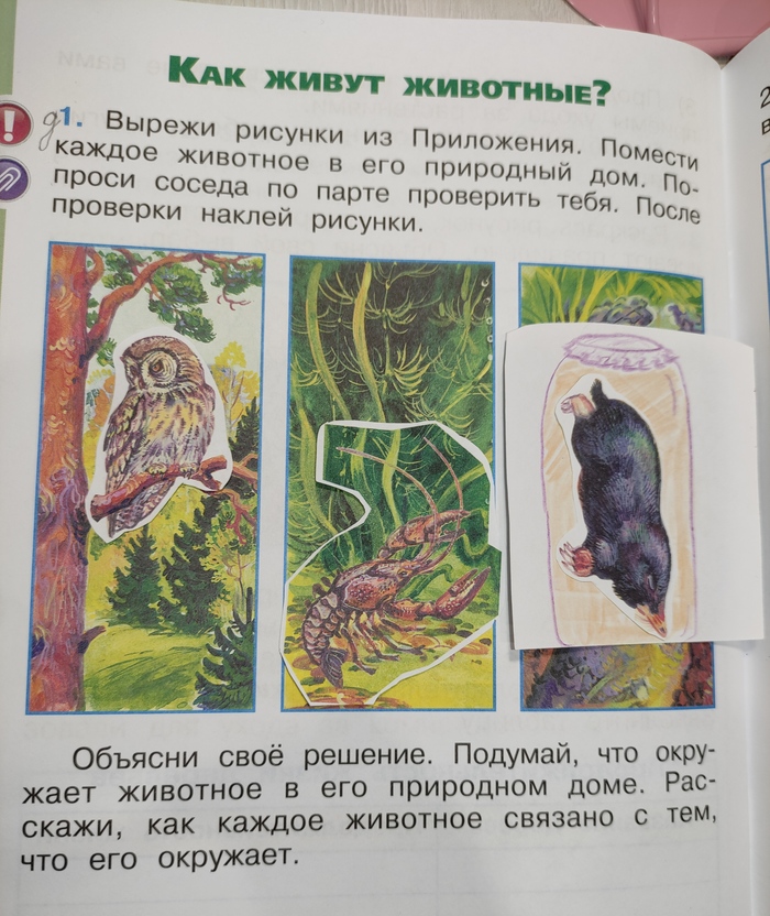 С детства за кротовуху