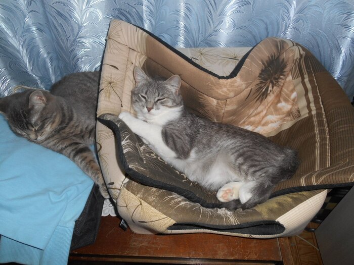 ��������� �����, �� ������!