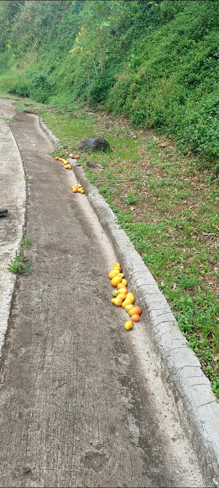 Остров Фату Хива Горный туризм, Море, Поход, Отдых на природе, Тихий океан, Французская Полинезия, Длиннопост