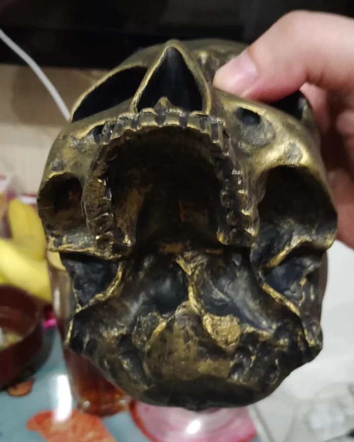 Plaster skull - My, Scull, Art, Decor, Decoration, Plant pot, Art, Longpost