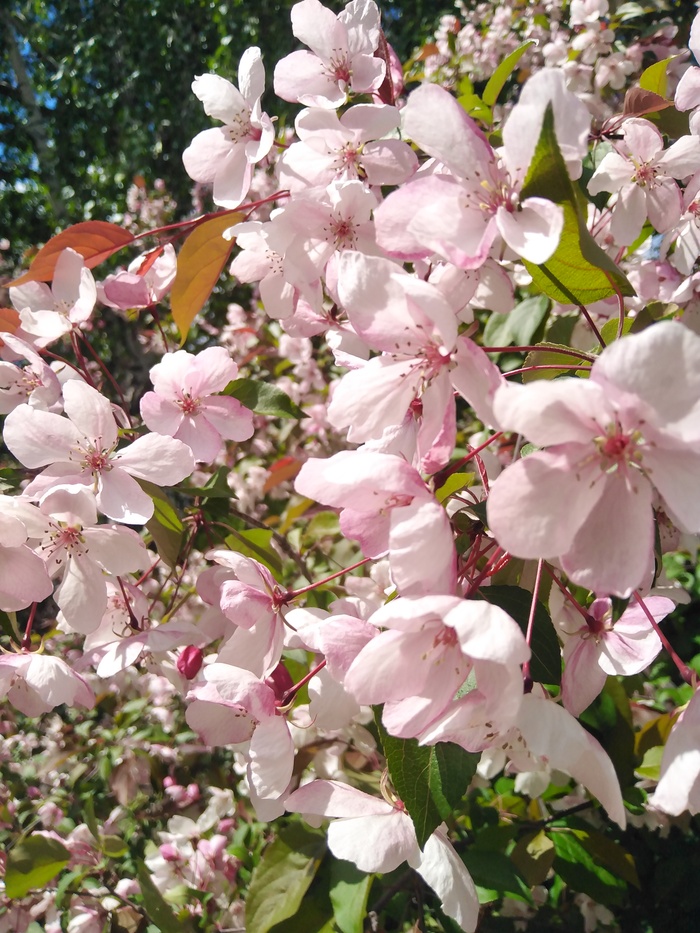 ������� ����� ���!