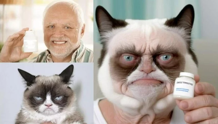 Mutual improvement - Old age, Pain, Grumpy cat, Harold hiding pain, Mixing, cat, Memes, Images