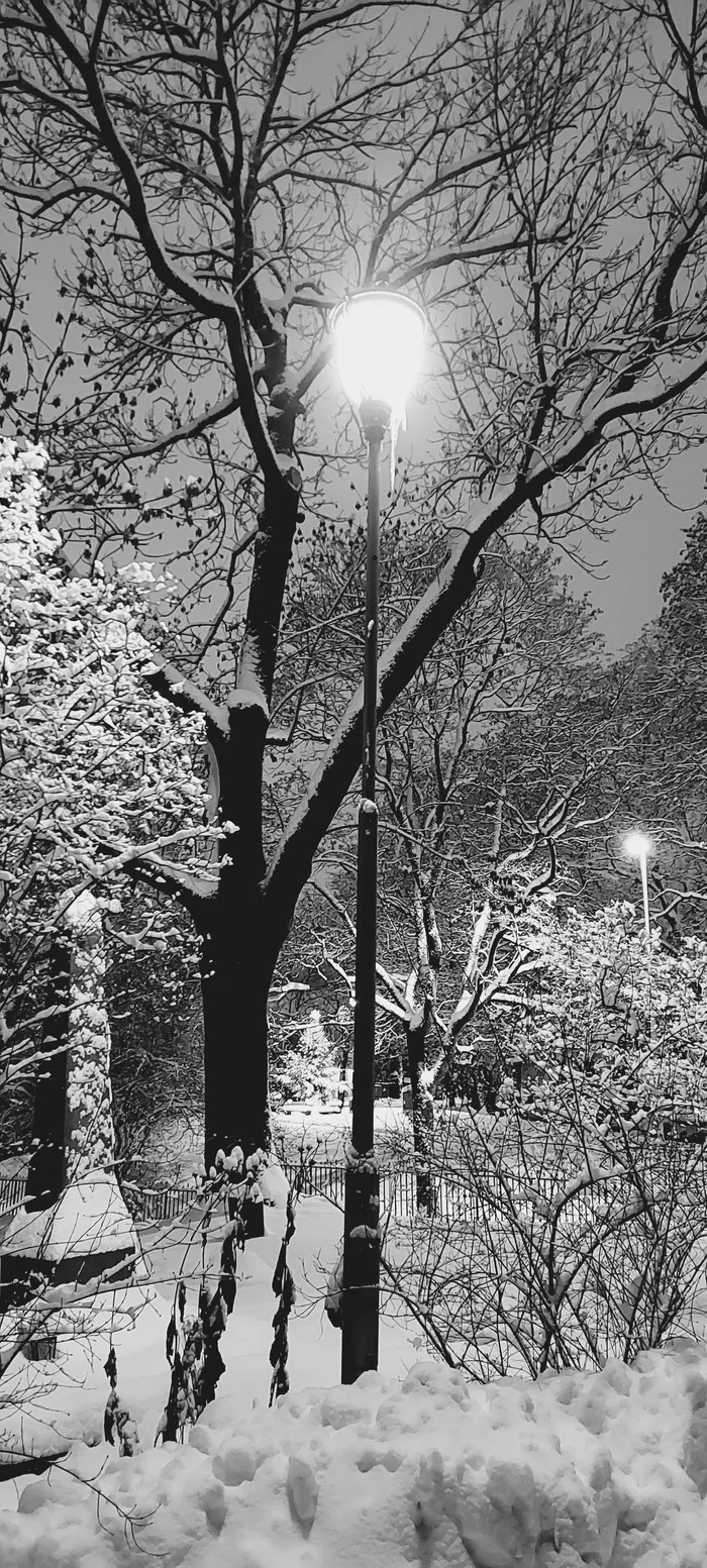 Emergency entrance to Narnia from Oslo - My, Nature, beauty, Norway, Winter, Longpost, Black and white photo