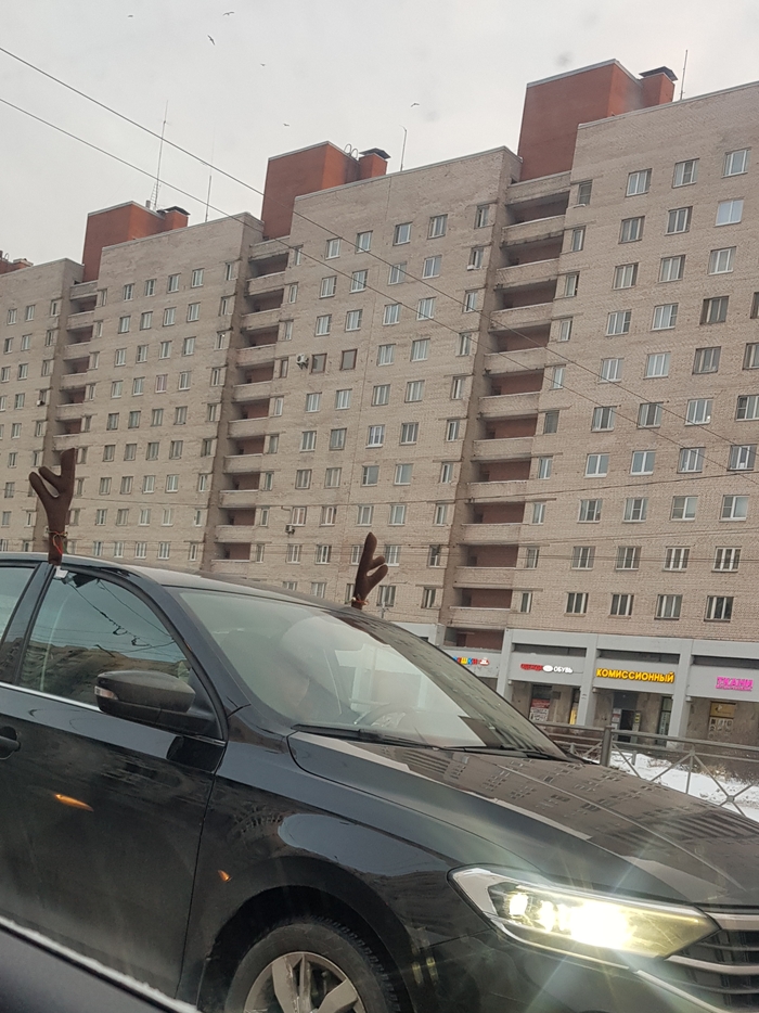 ������� �� ������ �� �����. ���� �� ����������