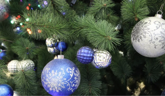 A lawyer told how to decorate a Christmas tree without violating the law in the field of LGBT propaganda - IA Panorama, Satire, Fake news, Humor, New Year, LGBT, Christmas trees