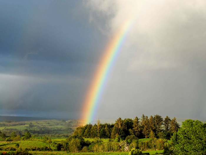 Rainbow | Пикабу